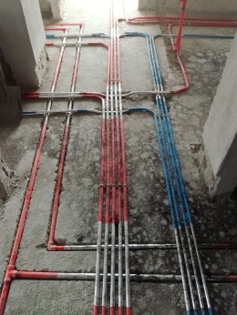 荣和千千树