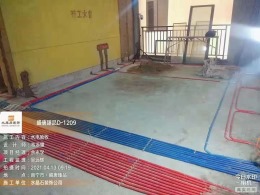 盛唐臻品